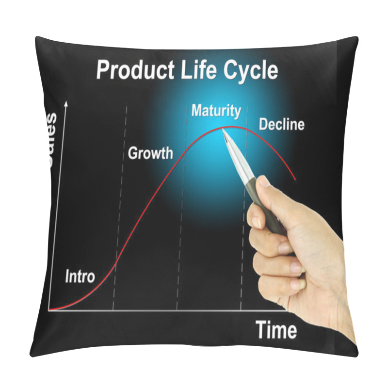 Personality  A Pen Pointer Product Life Cycle Chart Pillow Covers