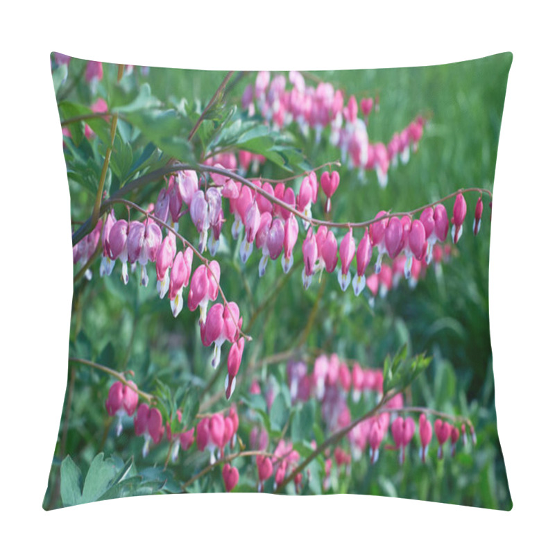 Personality  Beautiful Bright Pink Dicentra Flowers On A Green Grassy Background. Close-up, Macro, Selective Focus Pillow Covers