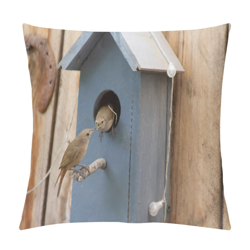 Personality  Birds Passing Food To Each Other In A Birdhouse To Feed Their Chicks Pillow Covers