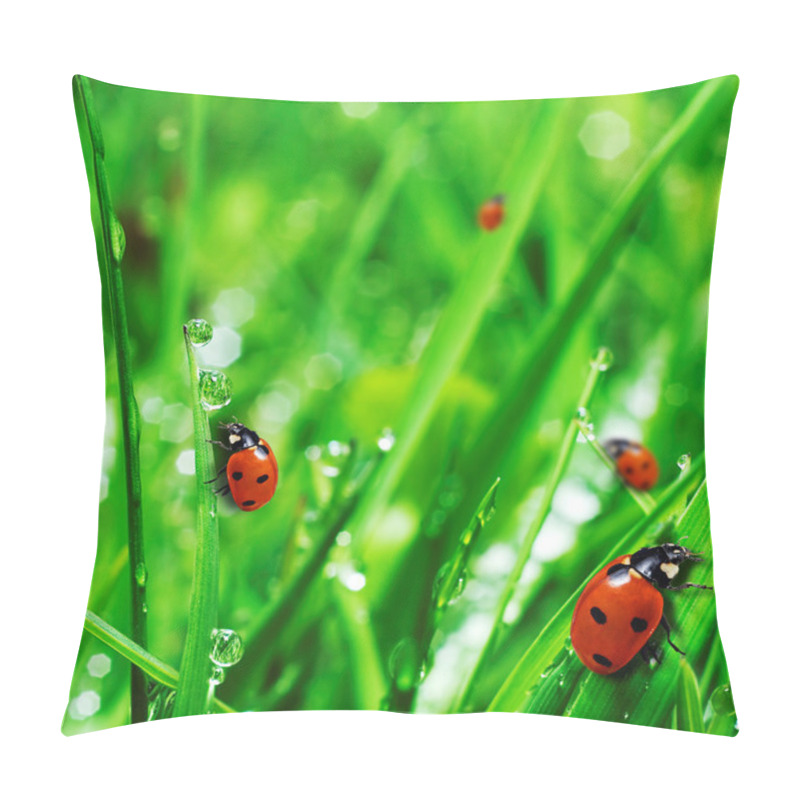 Personality  Fresh Green Grass With Water Drops Pillow Covers