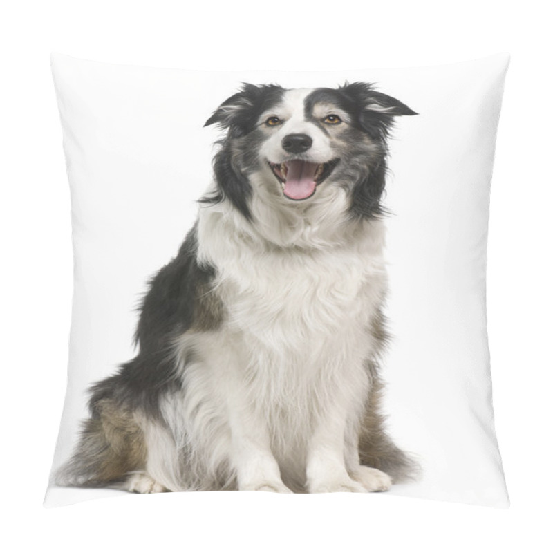 Personality  Border Collie, 3 Years Old, Lying In Front Of White Background Pillow Covers