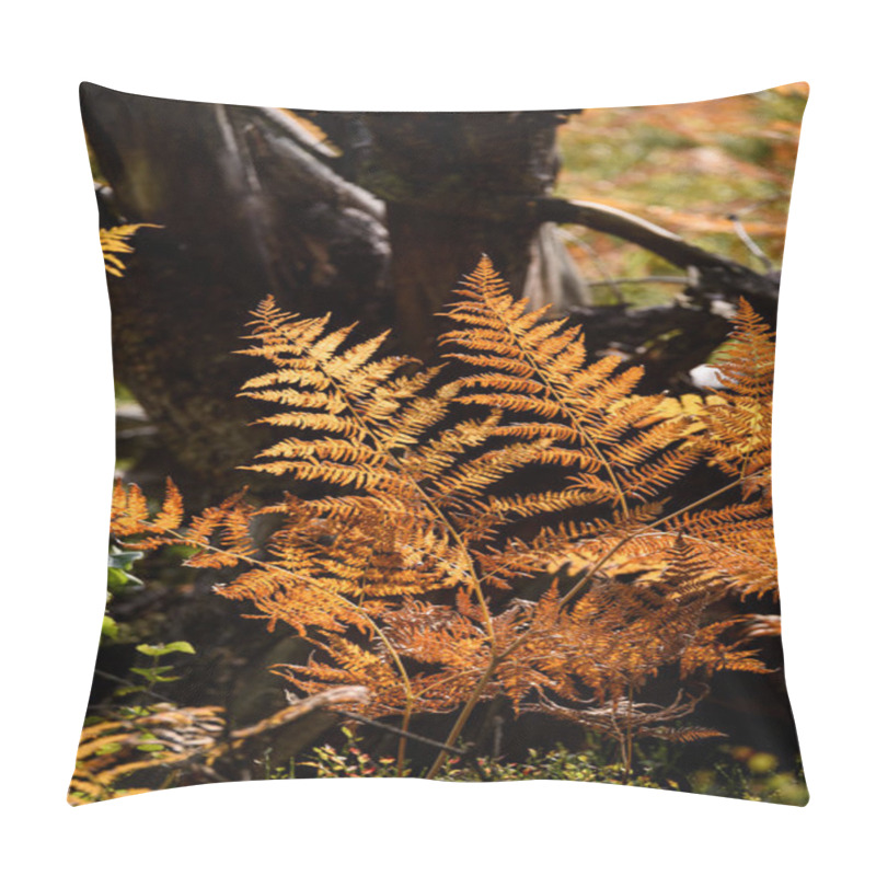 Personality  Burning Red Fern Leaves In Dry Sunny Autumn With Old Dry Wood Pillow Covers