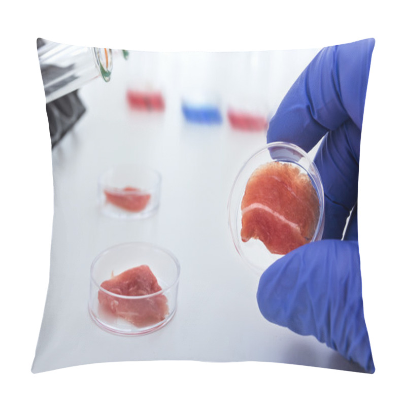 Personality  Meat Cultured In Laboratory Conditions From Stem Cells Pillow Covers