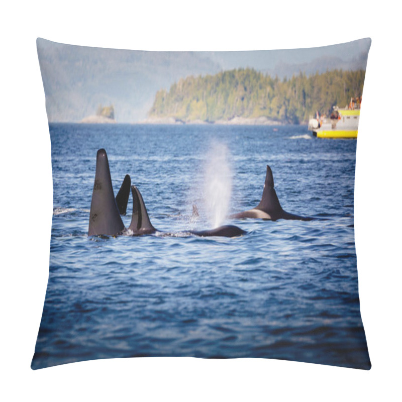 Personality  Wild Killer Whale Watching At Vancouver Island, British Columbia, Canada. Broughton Archipelago  Pillow Covers