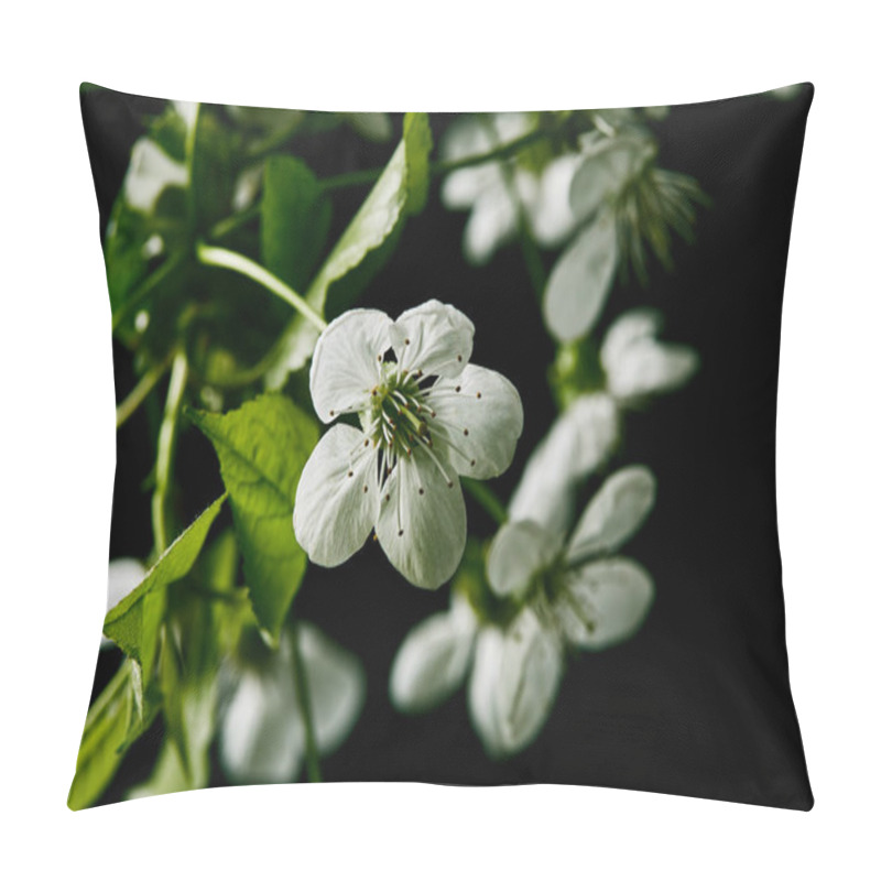 Personality  Close-up Shot Of Beautiful White Cherry Blossom Isolated On Black Pillow Covers