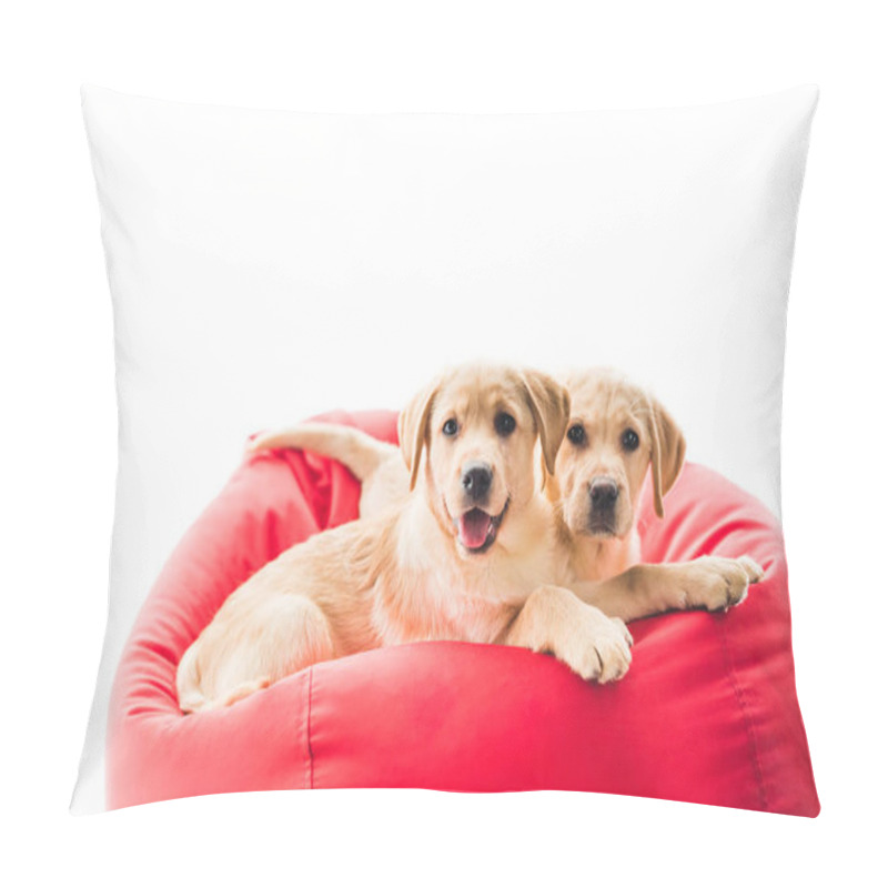 Personality  Dogs Pillow Covers