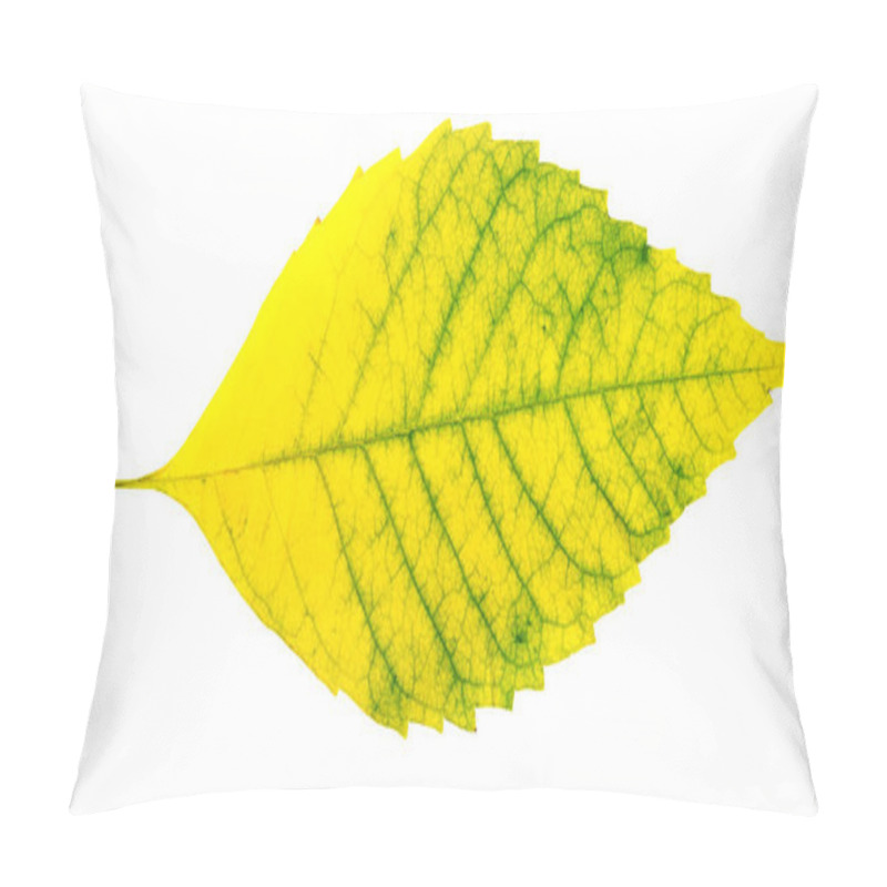 Personality  Autumn Leaves. Pillow Covers