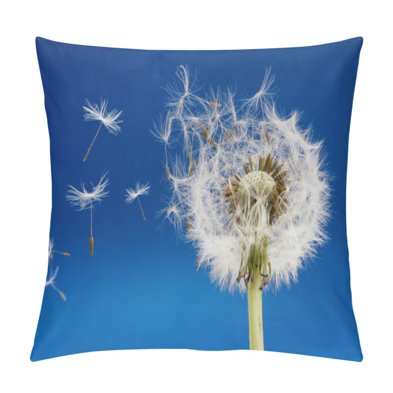 Personality  Dandelion Pillow Covers