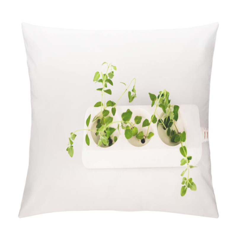 Personality  Green Plant Growing From Socket In Power Extender On White Background Pillow Covers