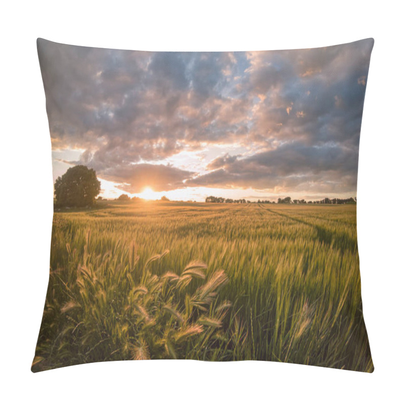 Personality  Cereal Field With Wheat Ears In The Foreground At Sunset Pillow Covers