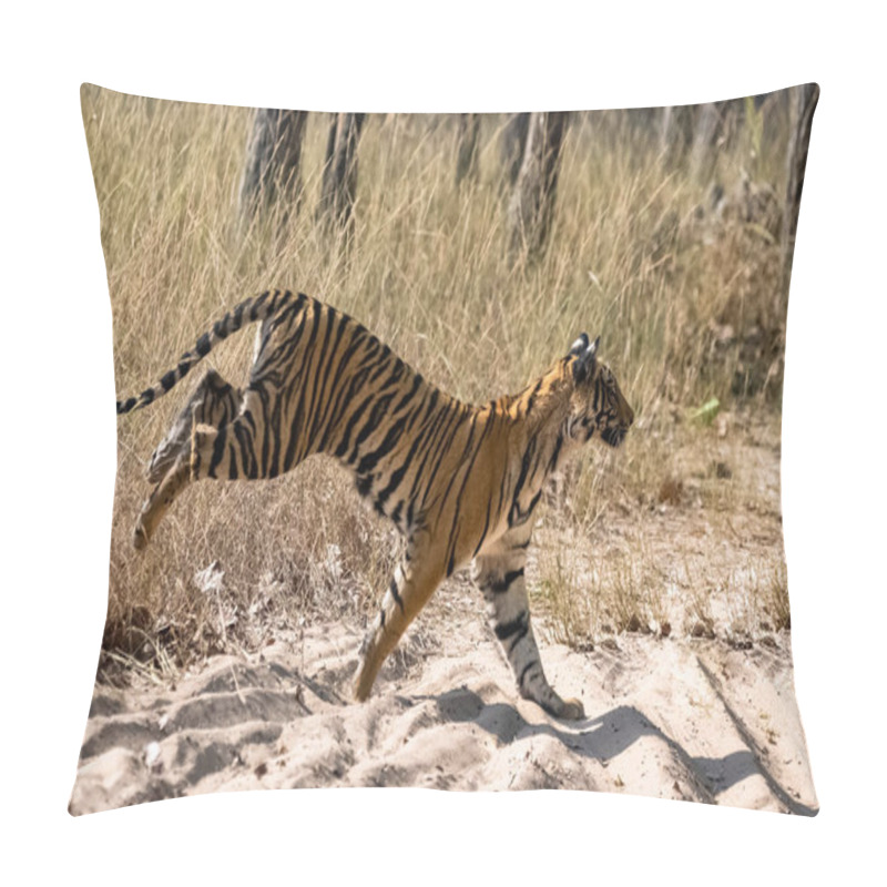 Personality  A Young Tiger Running After A Prey In The Forest In India, Madhya Pradesh Pillow Covers