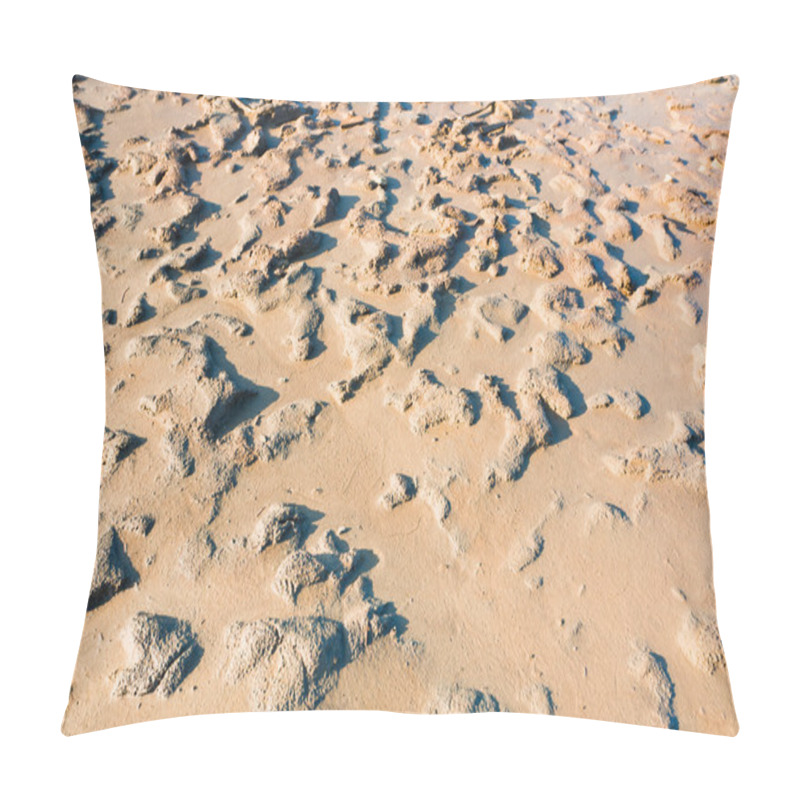 Personality  Mud Beach Of Dead Sea Pillow Covers