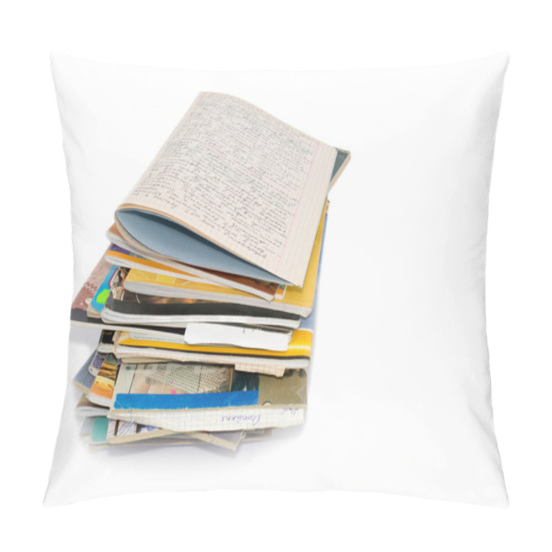 Personality  Educational Records Of The Student 3 Pillow Covers