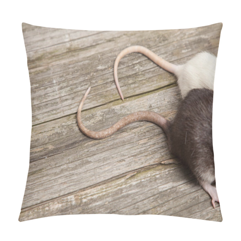 Personality  Tails Of Rats On A Wooden Table Pillow Covers