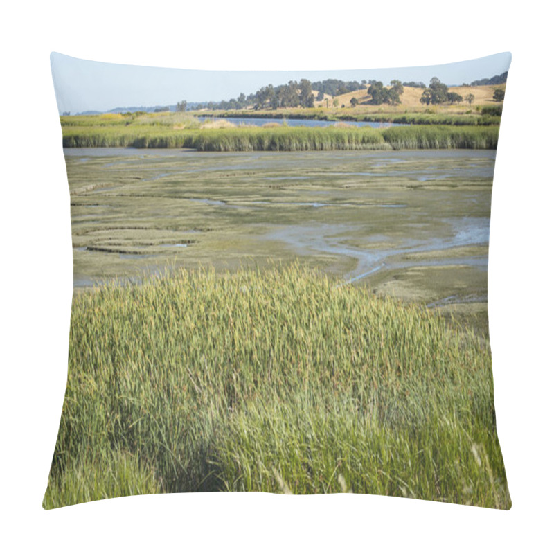 Personality  Wetlands Bird Refuge And Walking Park, Protected Land, Wildlife Area, Petaluma, California Pillow Covers