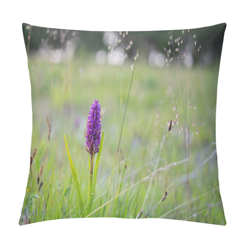 Personality  Close-up Of Purple Orchid, Dactylorhiza Incarnata. Purple Early Marsh - Orchid Blossom, Dactylorhiza Incarnata. Blooming Flower In A Natural Environment. Pillow Covers