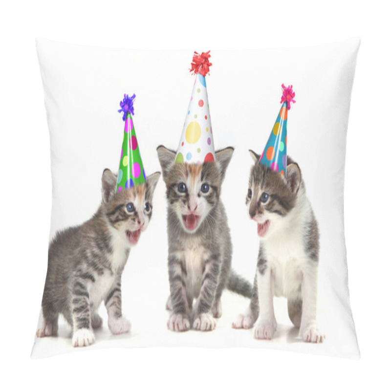 Personality  Birthday Song Singing Kittens On White Background Pillow Covers