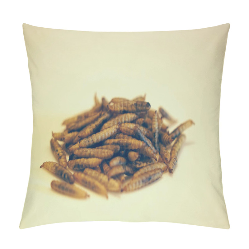 Personality  Dried Black Soldier Fly Larvae (Hermetia Illucens) Innovative Protein Source For Human And Livestock Pillow Covers