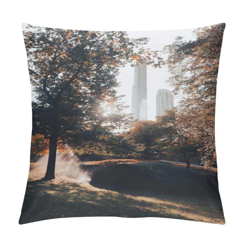 Personality  Central Park With Green Trees And Skyscrapers On Blurred Background In New York City Pillow Covers