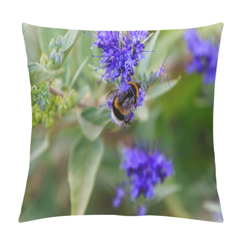 Personality  Bluebeard Caryopteris X Clandonensis 'Heavenly Blue' With Bumblebee Pillow Covers