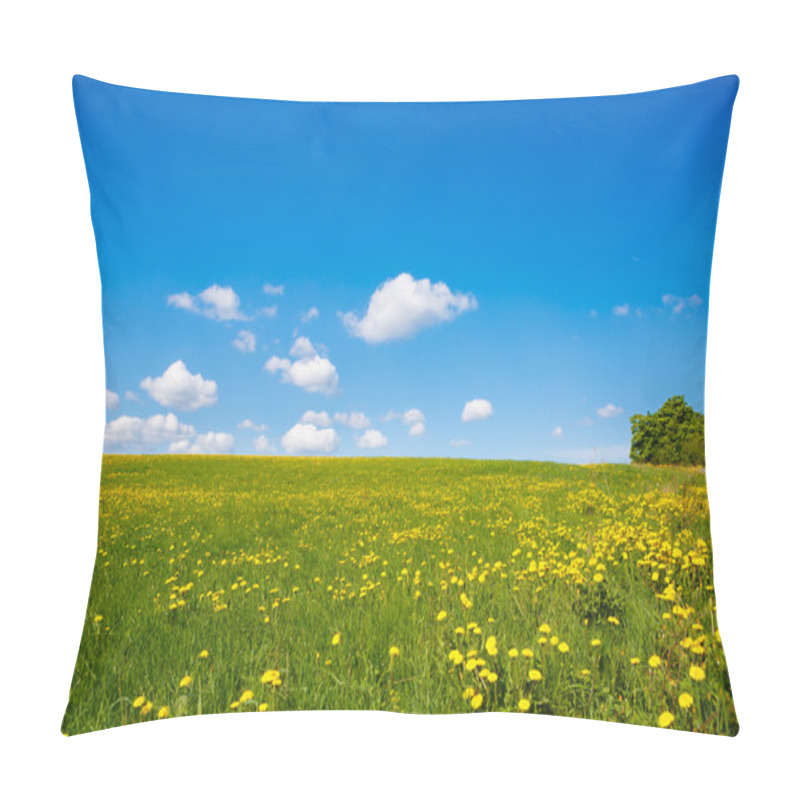 Personality  Rural Views To Meadow. Pillow Covers