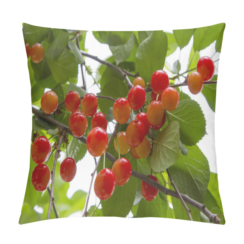 Personality  Cherries On A Branch Pillow Covers