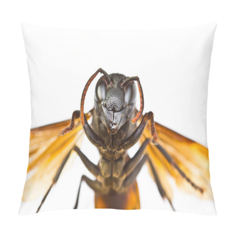 Personality  Wasp Pillow Covers