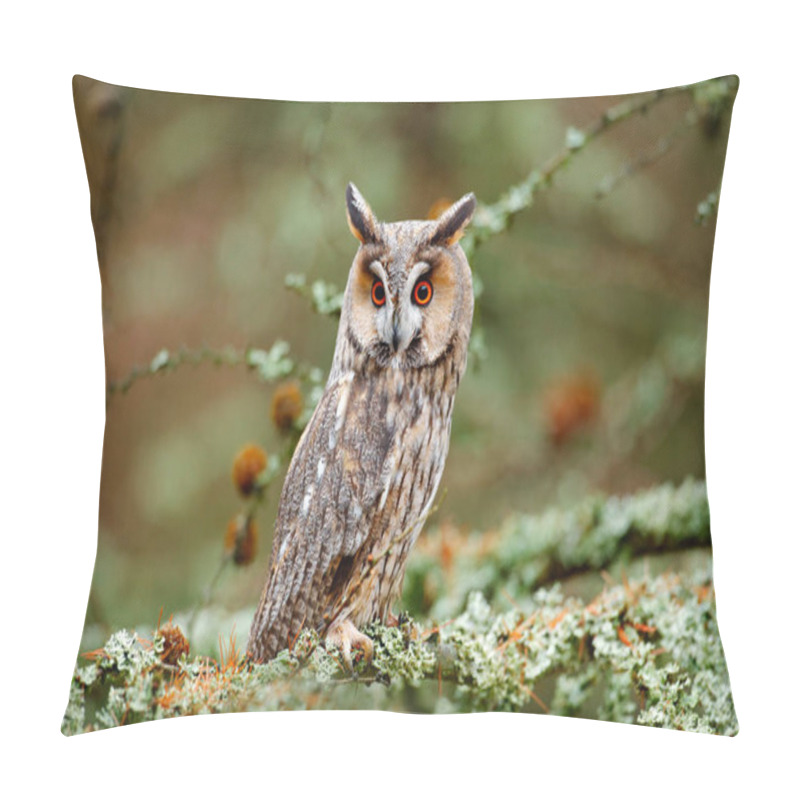 Personality  Long-eared Owl Sitting On Branch  Pillow Covers