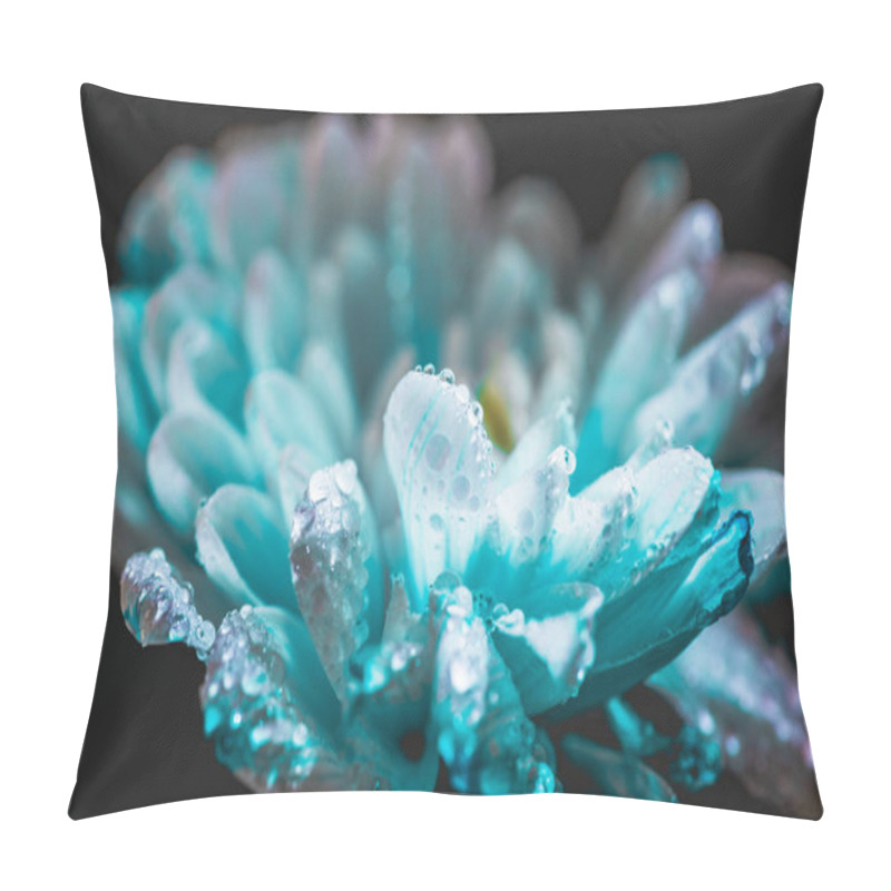 Personality  Selective Focus Of Blue Daisy Flower With Drops On Petals, Isolated On Black Pillow Covers