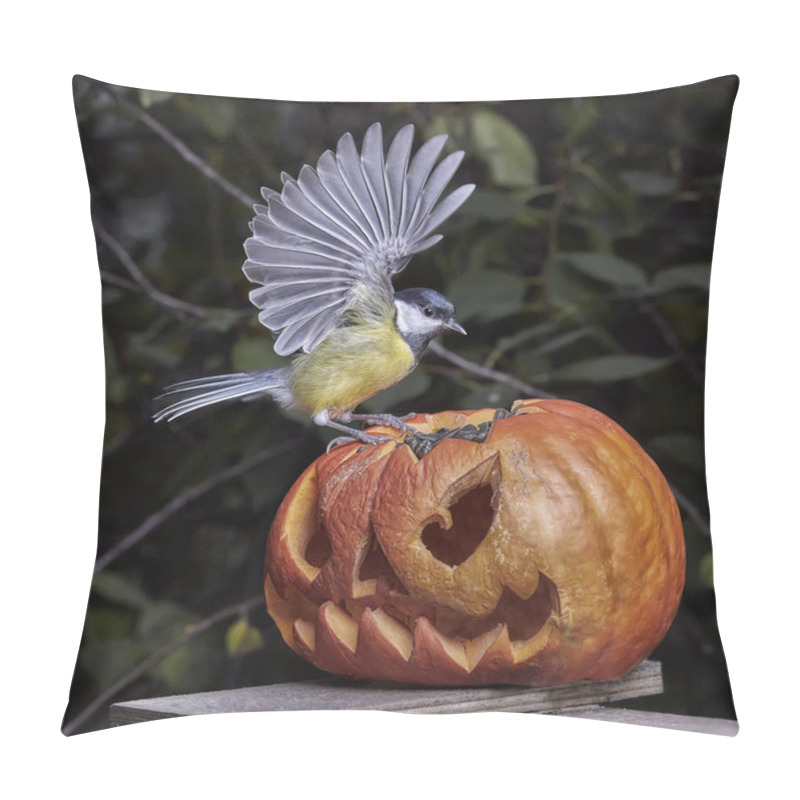 Personality  Bird. Chickadee Perched On A Pumpkin In The Autumn. Halloween Pillow Covers