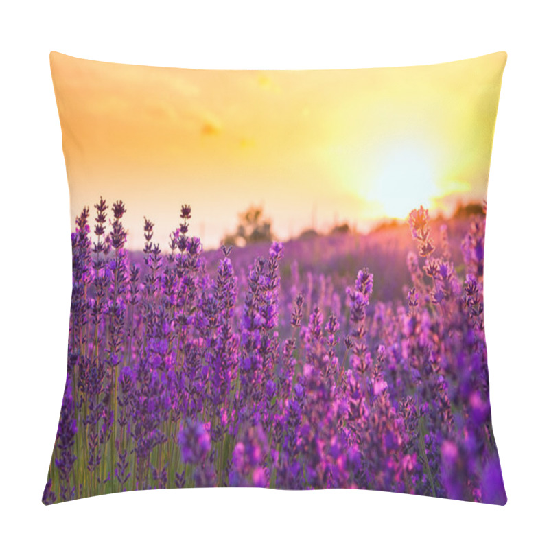 Personality  Lavender Field In Tihany, Hungary Pillow Covers