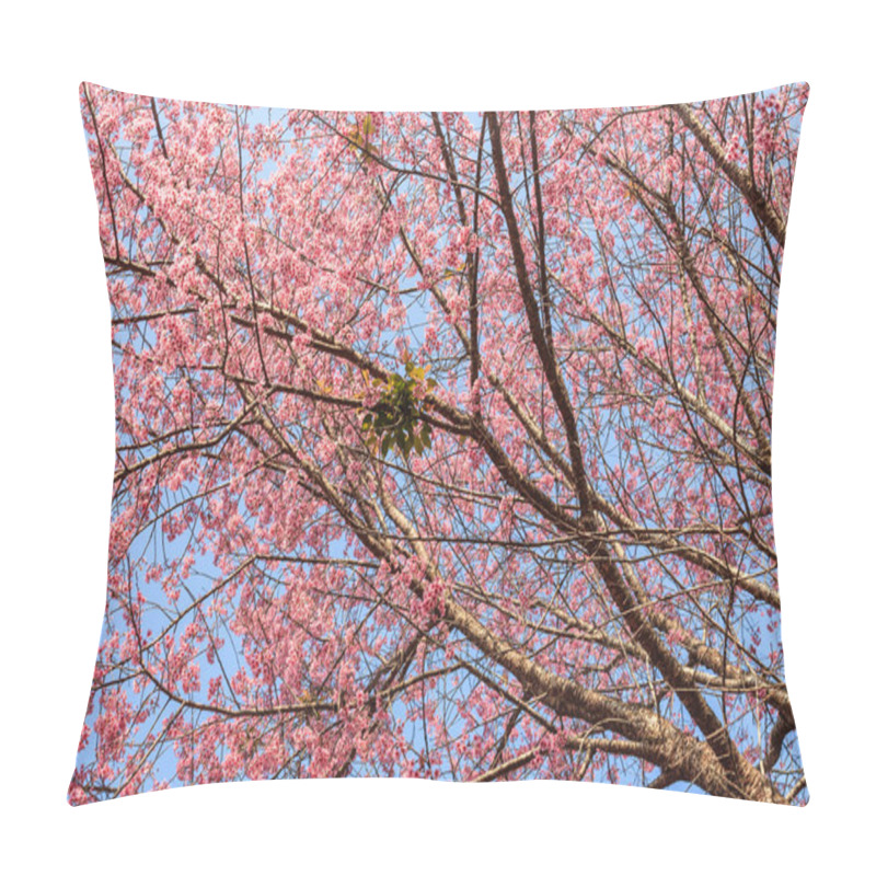 Personality  Beautiful Cherry Blossoms Under Blue Sky Pillow Covers