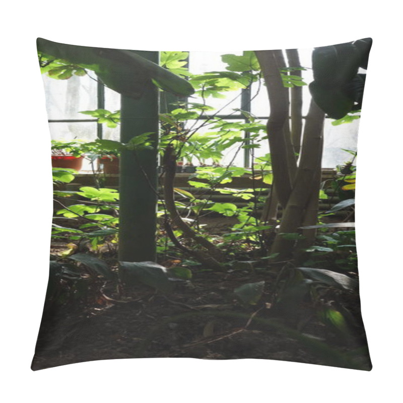 Personality  Lush Indoor Greenhouse With Thriving Tropical Plants And Sunlight Streaming Through Windows. Pillow Covers