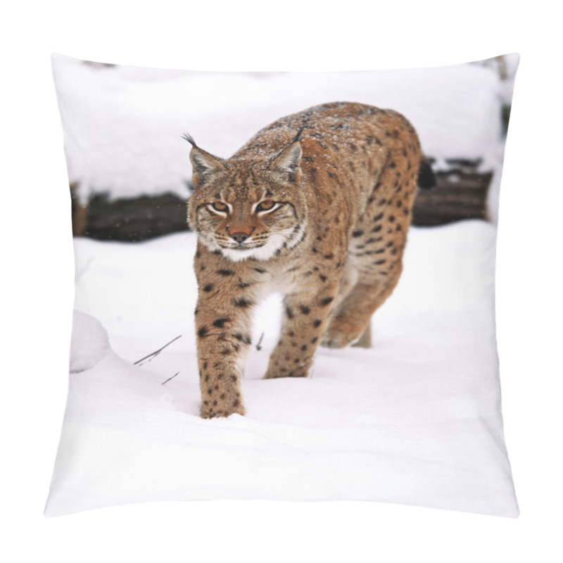 Personality  Lynx Pillow Covers