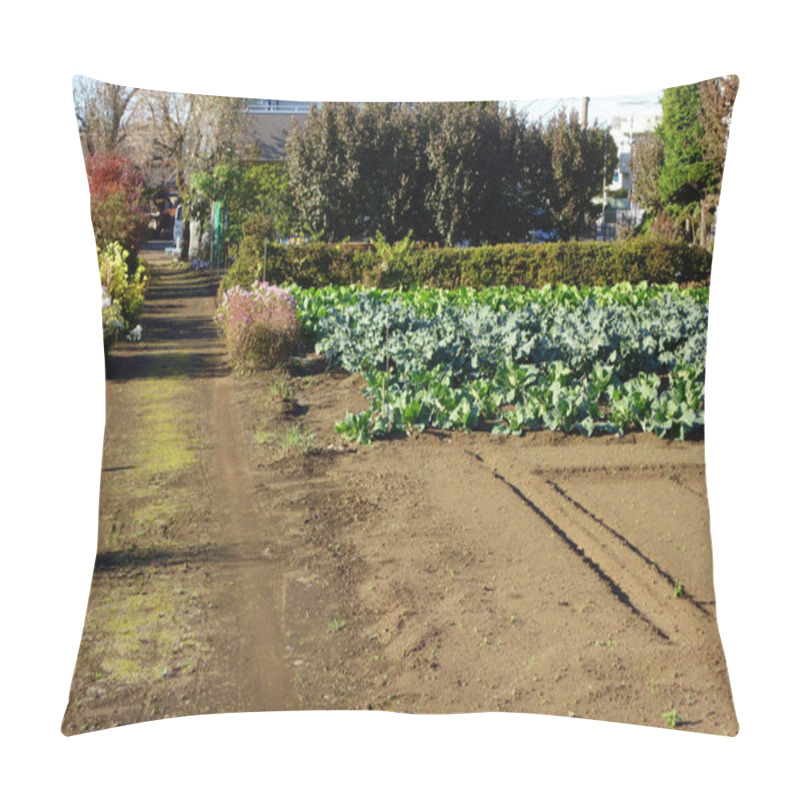 Personality  Farm Scenery In A Quiet Rural Mountain Village On The Outskirts Of The City Pillow Covers