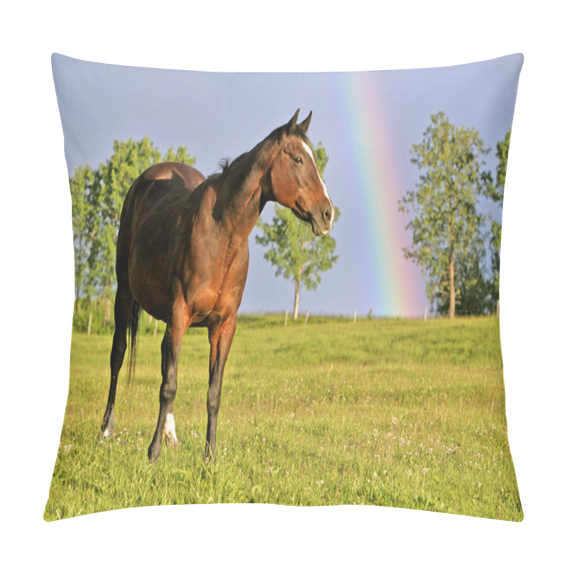 Personality  Bay Quarter Horse In Field With Rainbow Pillow Covers