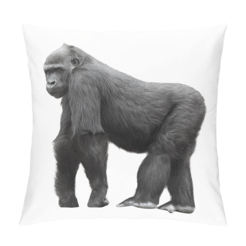 Personality  Silverback Gorilla Isolated On White Pillow Covers