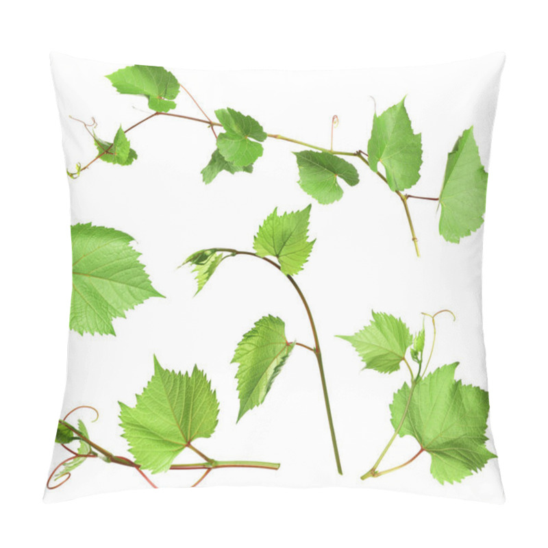 Personality  Set Of Grapevines With Green Leaves On White Background Pillow Covers