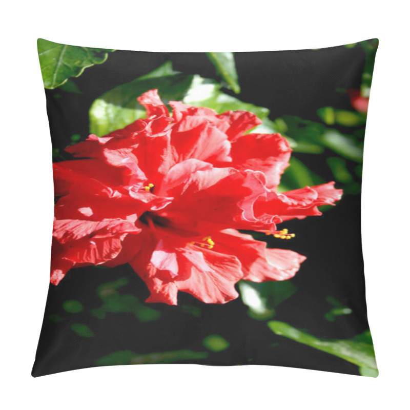 Personality  Red Hibiscus Bloom Pillow Covers