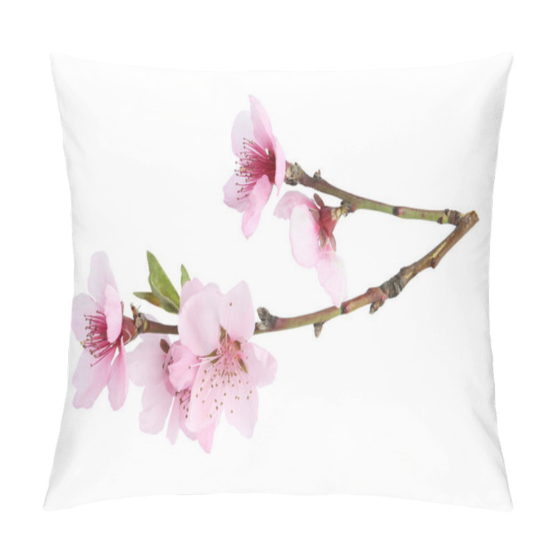 Personality  Tree Branch With Blossom Isolated On White. Spring Season Pillow Covers