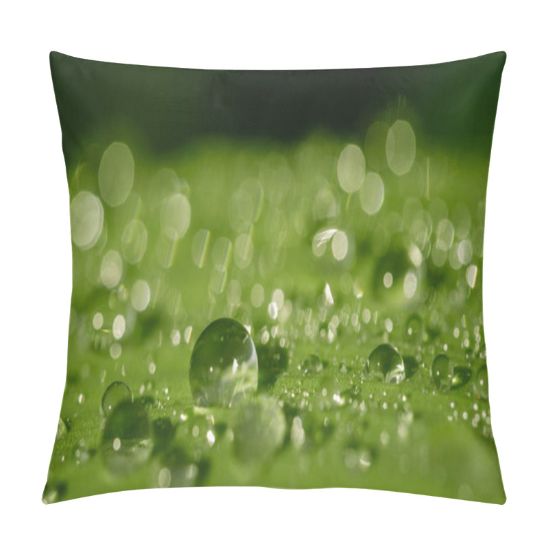 Personality  Water Drops Close Up On A Green Grass Leaf Pillow Covers