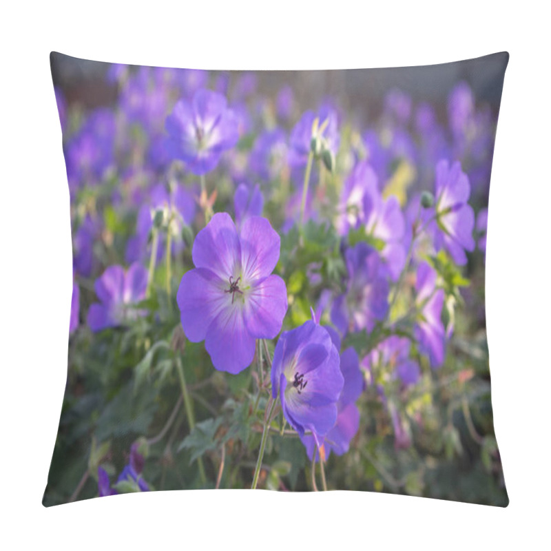 Personality  Cranesbills Group Of Flowers, Geranium Rozanne In Bloom, Big Bunch Of Flowers Pillow Covers