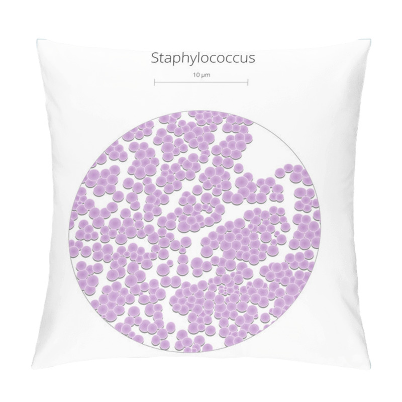 Personality  Staphylococcus Bacterium Vector Illustration Pillow Covers