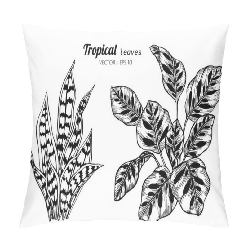 Personality  Collection Set Of Tropical Leaves Drawing Illustration. Pillow Covers