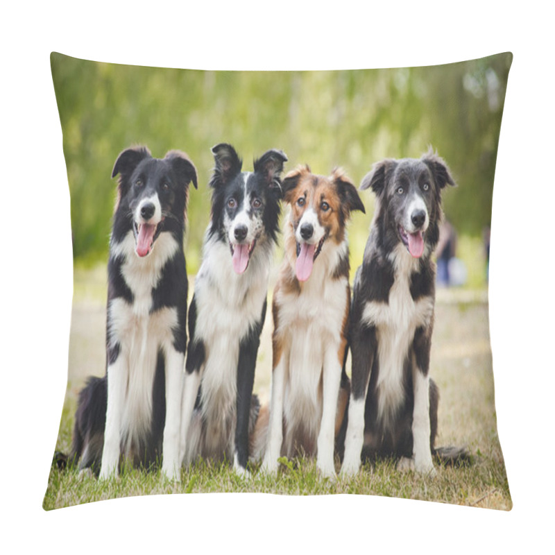 Personality  Group Of Happy Dogs Sittingon The Grass Pillow Covers