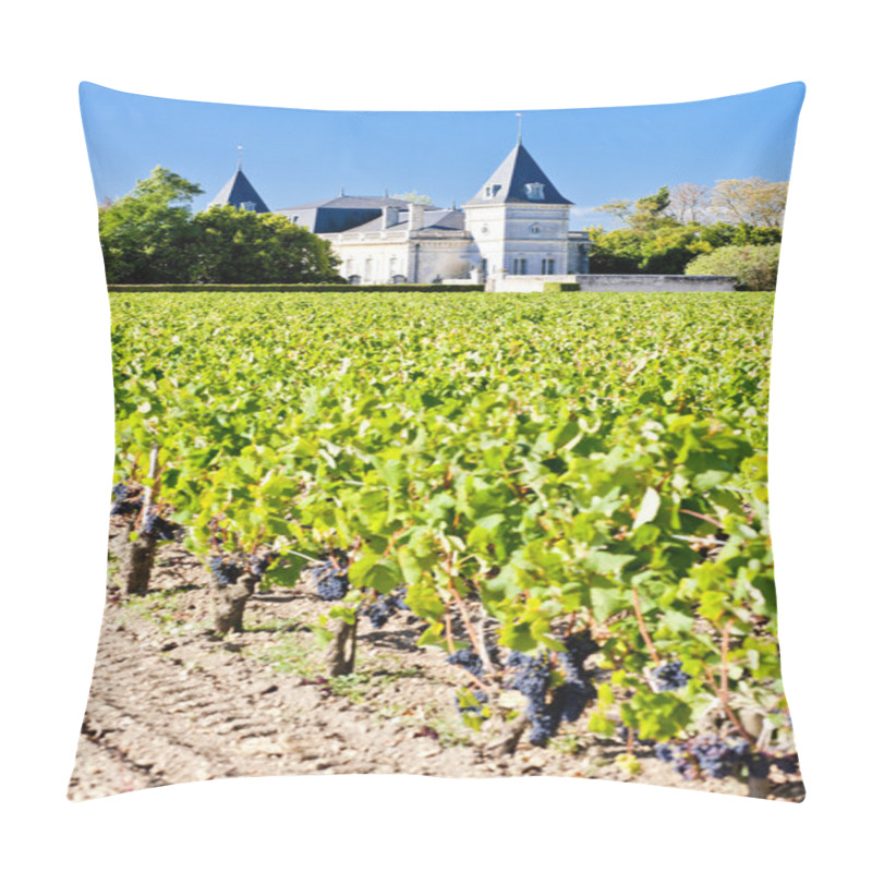 Personality  Vineyard And Chateau Tronquoy Lalande, Saint-Estephe, Bordeaux R Pillow Covers