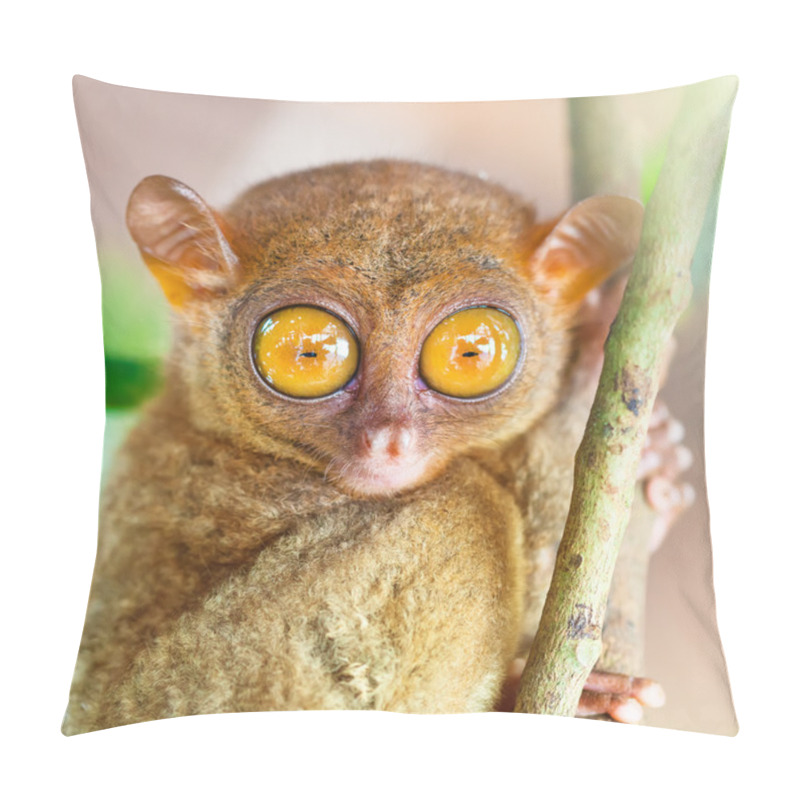 Personality  Phillipine Tarsier Pillow Covers