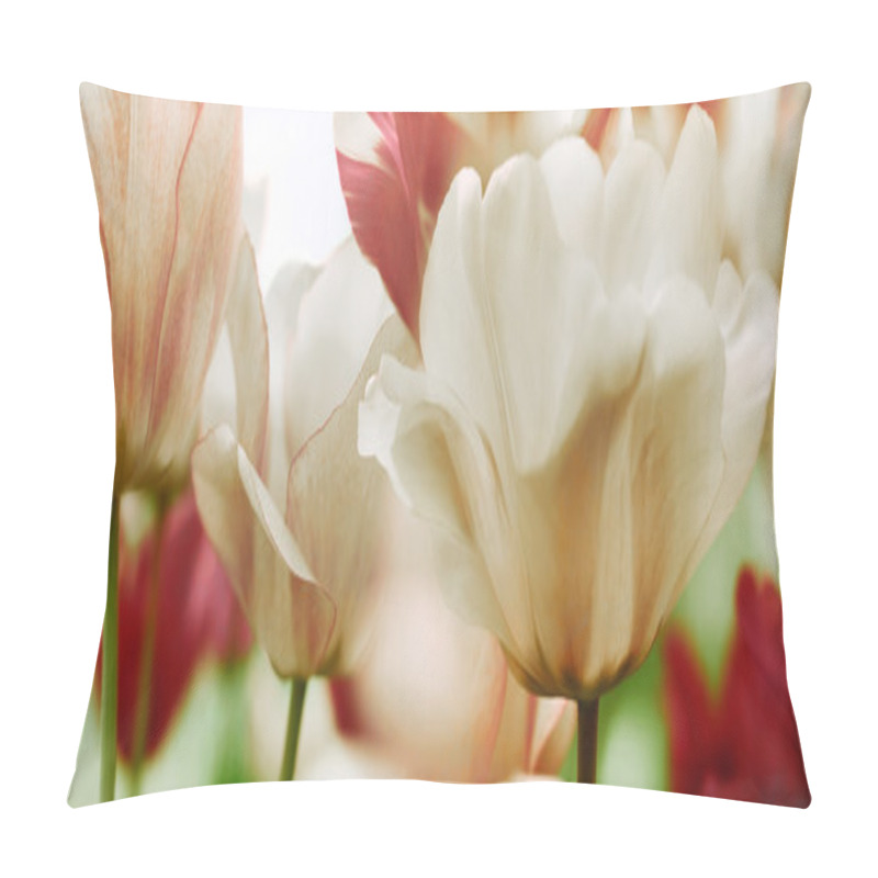 Personality  Spring Tulips In A Garden, High Key Pillow Covers