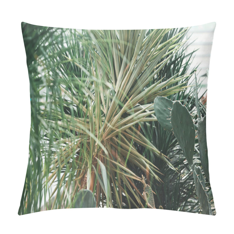 Personality  Green Palms And Cactus In Tropical Garden Pillow Covers