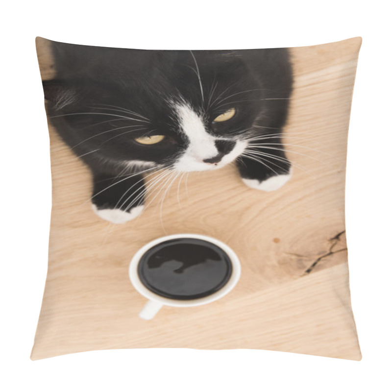 Personality  Black Cat In A Cardboard Box Pillow Covers